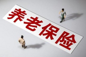 国产做a爰片久久毛片,探索“久久毛片”背后的故事与魅力