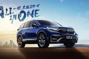 国产v日本,文化交融下的视听盛宴