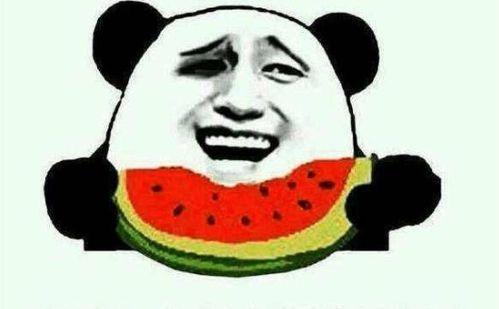 娱乐圈吃瓜系统雕动画,揭秘明星幕后故事